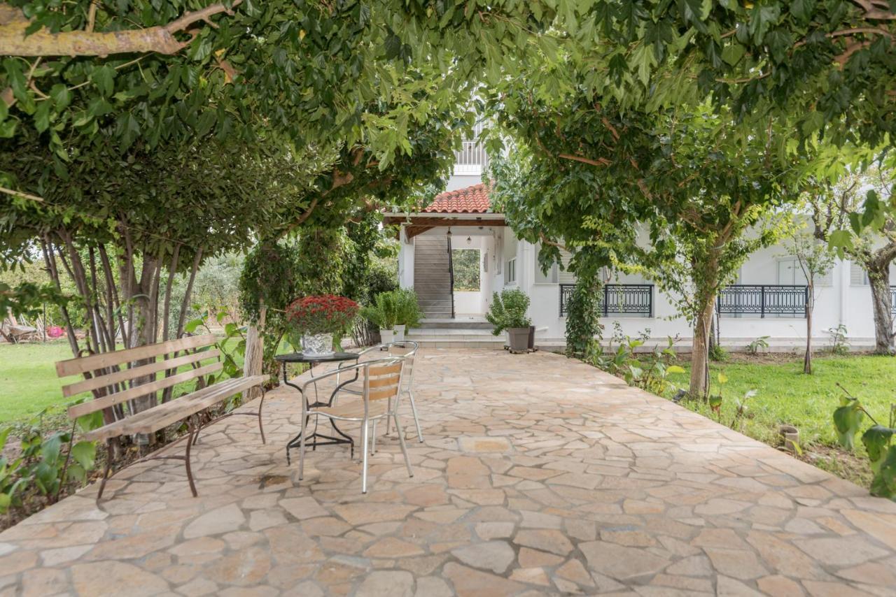 Apartmán Yiota